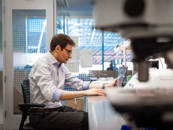 Stefano Guerra, MD, PhD, works with laptop in a University of Arizona research laboratory