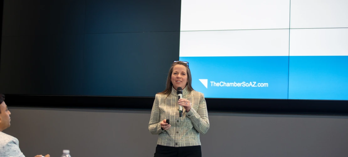 Susan Doman, Arizona Chamber of Commerce, speaking at the AZ Healthcare Delegation.