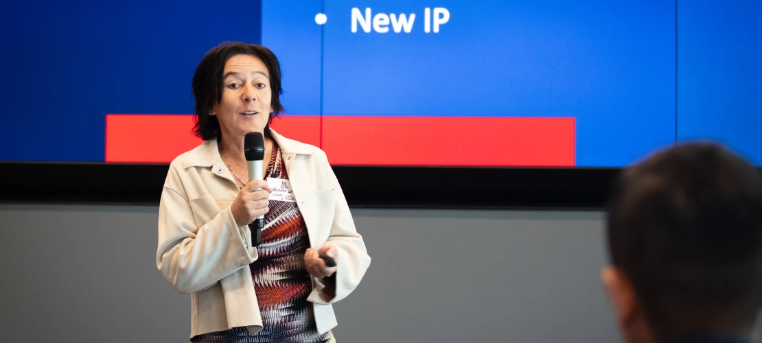 Gondy Leroy, Eller College of Management, Research Director, Center for Management Innovations in Healthcare, speaking at the AZ Healthcare Delegation.