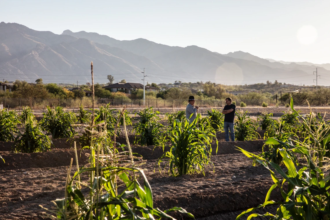 (left) Michael Kotutwa Johnson, Assistant Professor, Cooperative Extension Specialist, Indigenous Resilience, College of Natural Resources  & the Environment.