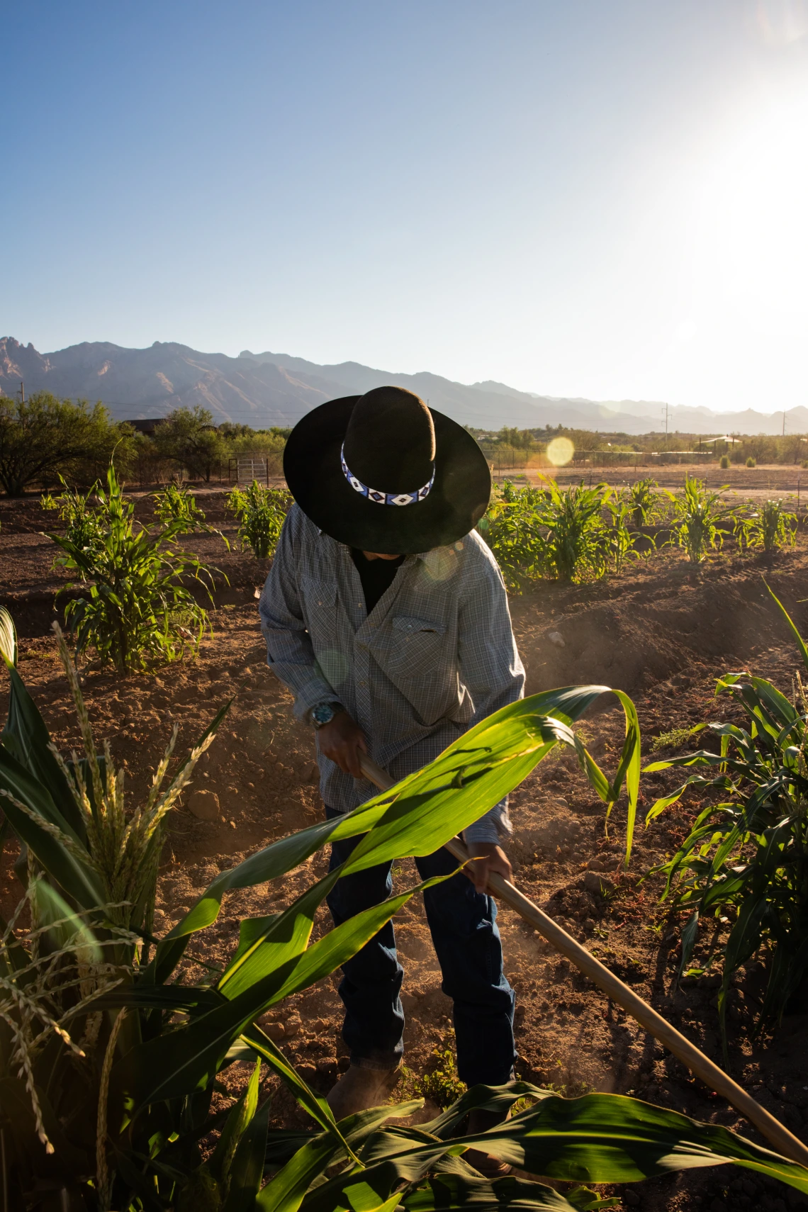 Michael Kotutwa Johnson, Assistant Professor Cooperative Extension Specialist, Indigenous Resilience, College of Natural Resources & the Environment.