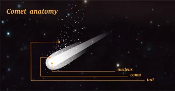 an illustration of a comets anatomy or what a comet is made of with it's nucleus, coma, and tail called out.